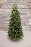 Triumph Tree Ель Уэльская 215 см. зеленая - 73556