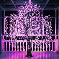 Светодиодное дерево "Плакучая Ива" 3 м., 3024 диода розового цвета - IVA 3024 PI