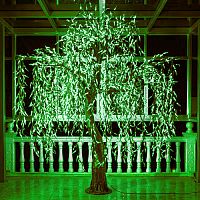 Светодиодное дерево "Плакучая Ива" 3 м., 3024 диода зелёного цвета - IVA 3024 G