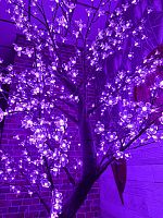Светодиодное дерево Сакура 2.5 м., 768 розовых диодов с керамическим стволом - CRM 768 PI