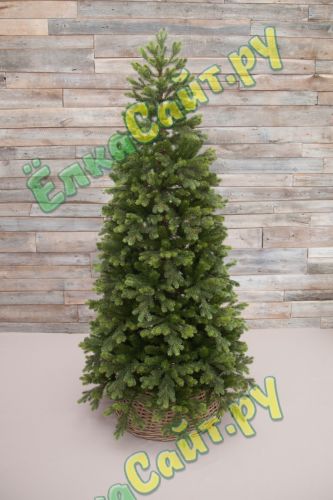 Triumph Tree Ель Уэльская 215 см. зеленая - 73556