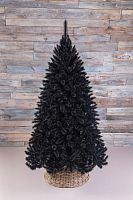 Triumph Tree Пихта Прелестная 155 см. черная - 73398