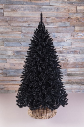 Triumph Tree Пихта Прелестная 215 см. черная - 73400 фото 5